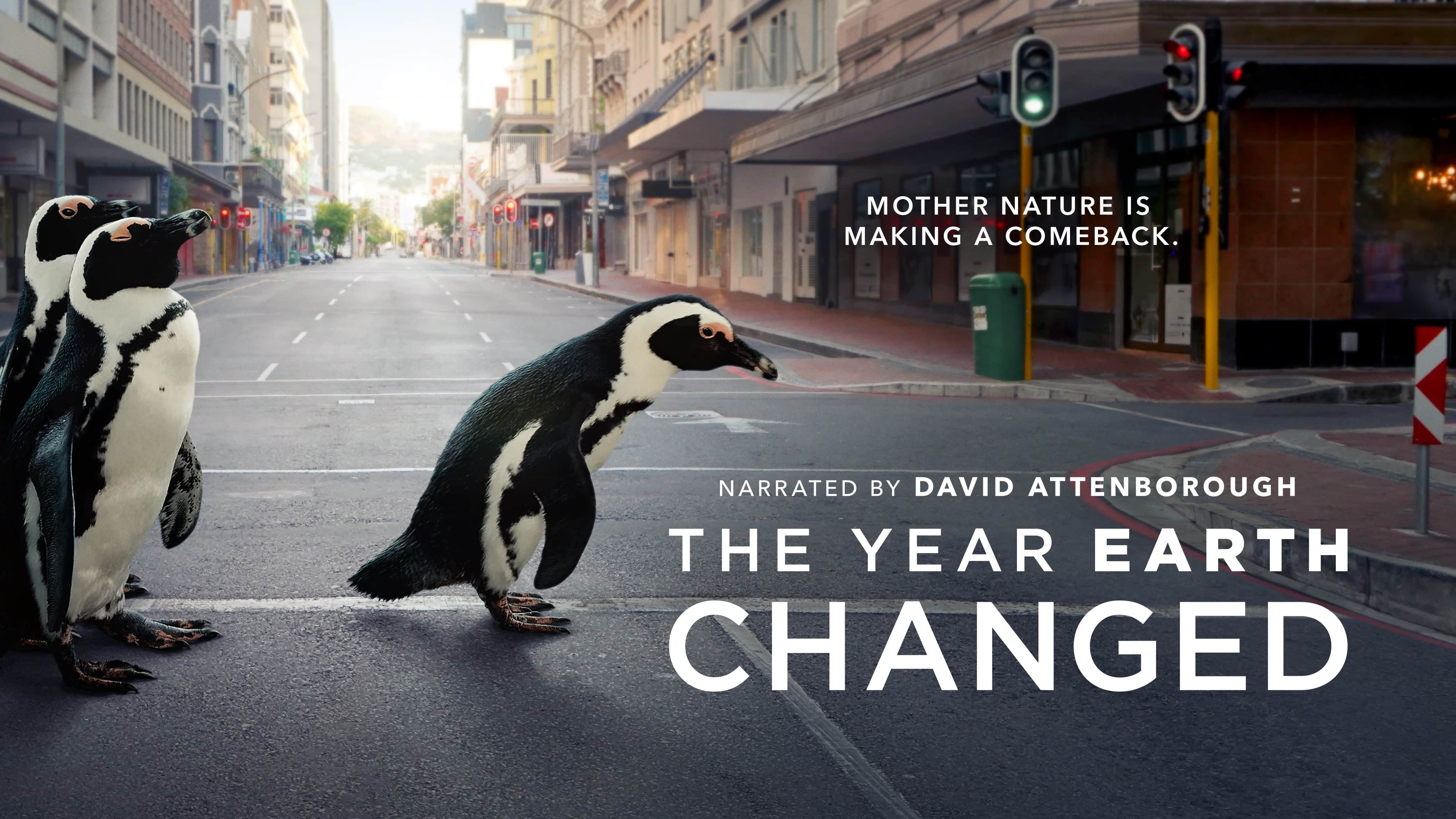 Penguins, too, fill us in on <em>The Year Earth Changed</em>.