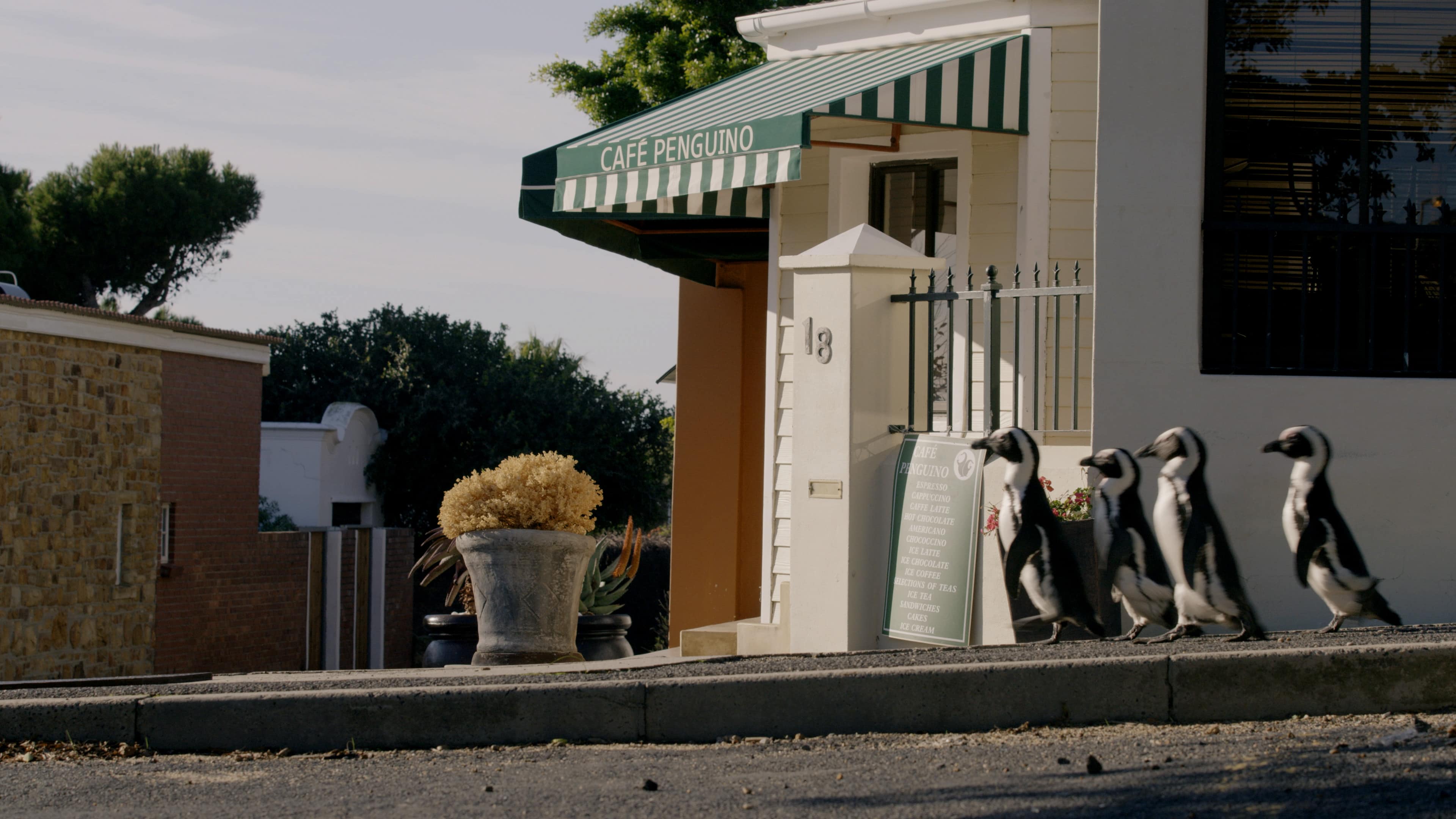 David Attenborough and Penguins will teach us about The Year Earth Changed