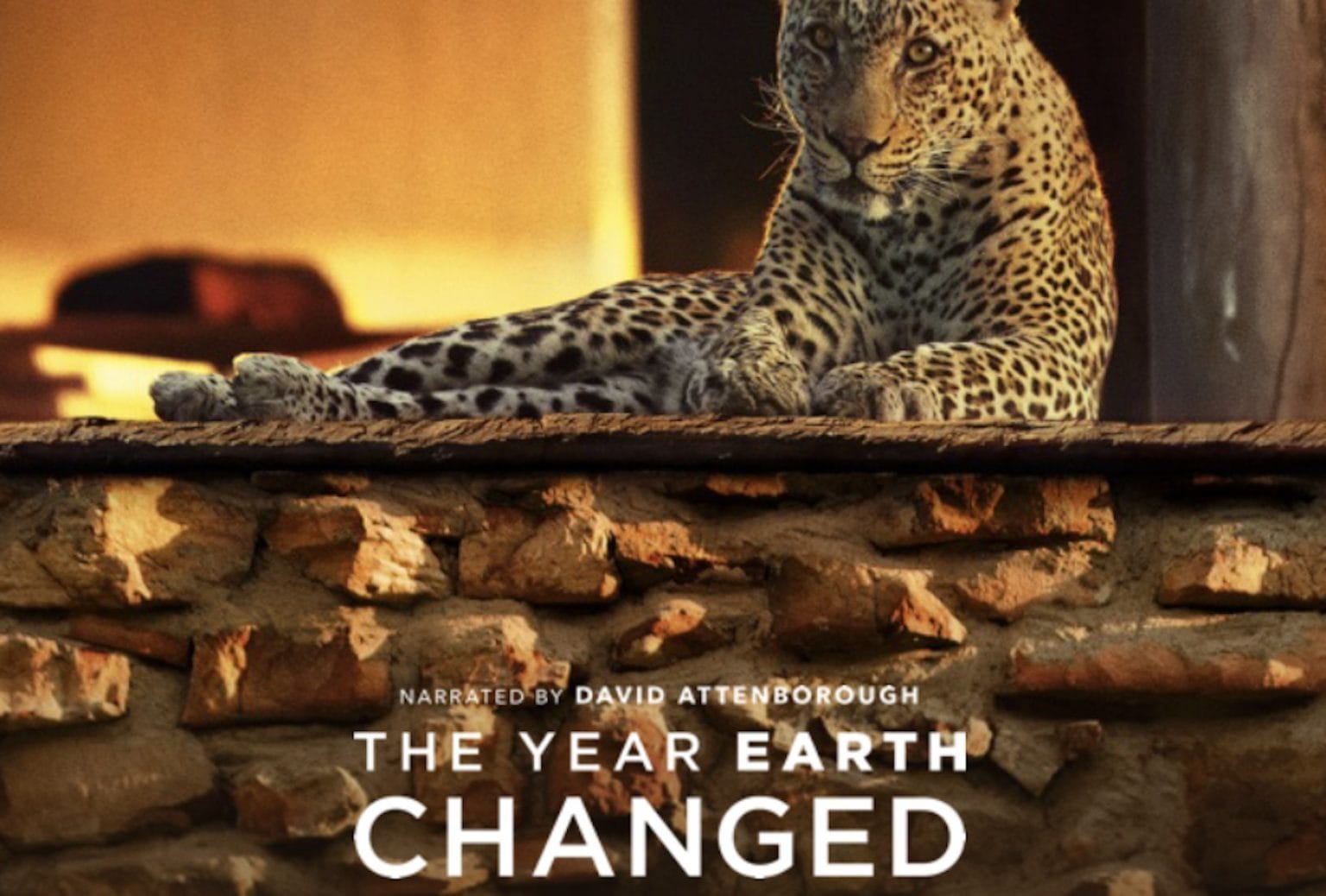 The Year Earth Changed 1