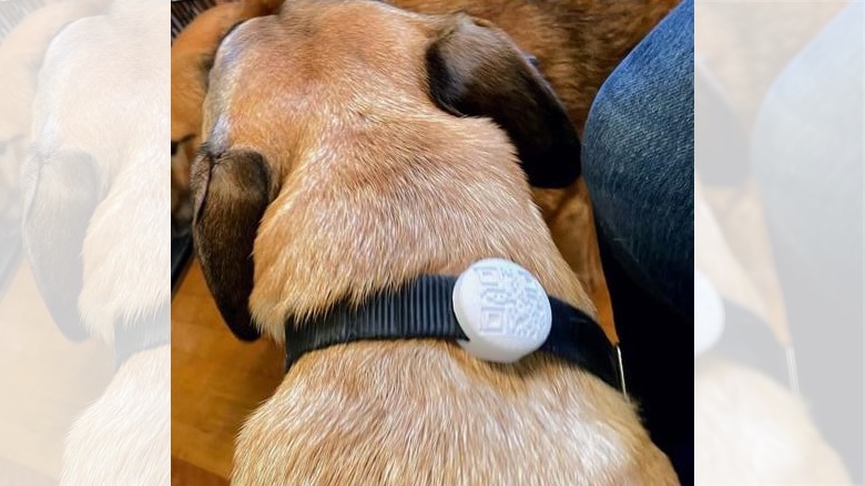 3D printed DYI AirTag dog collar