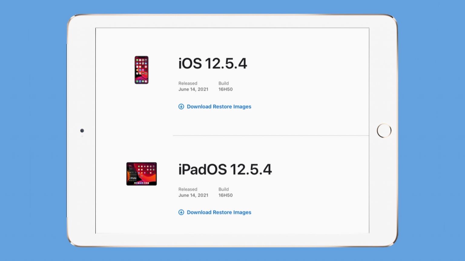 iOS 12.5.4 and iPadOS 12.5.4 close security holes for older iPhones, iPads