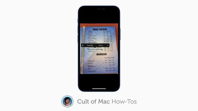 Translate text in photos in iOS 15