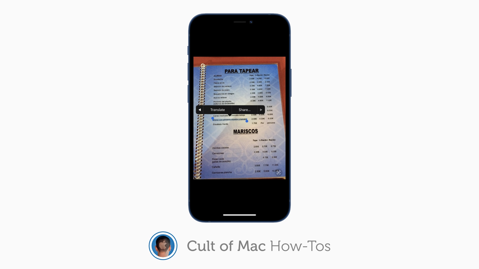 Translate text in photos in iOS 15