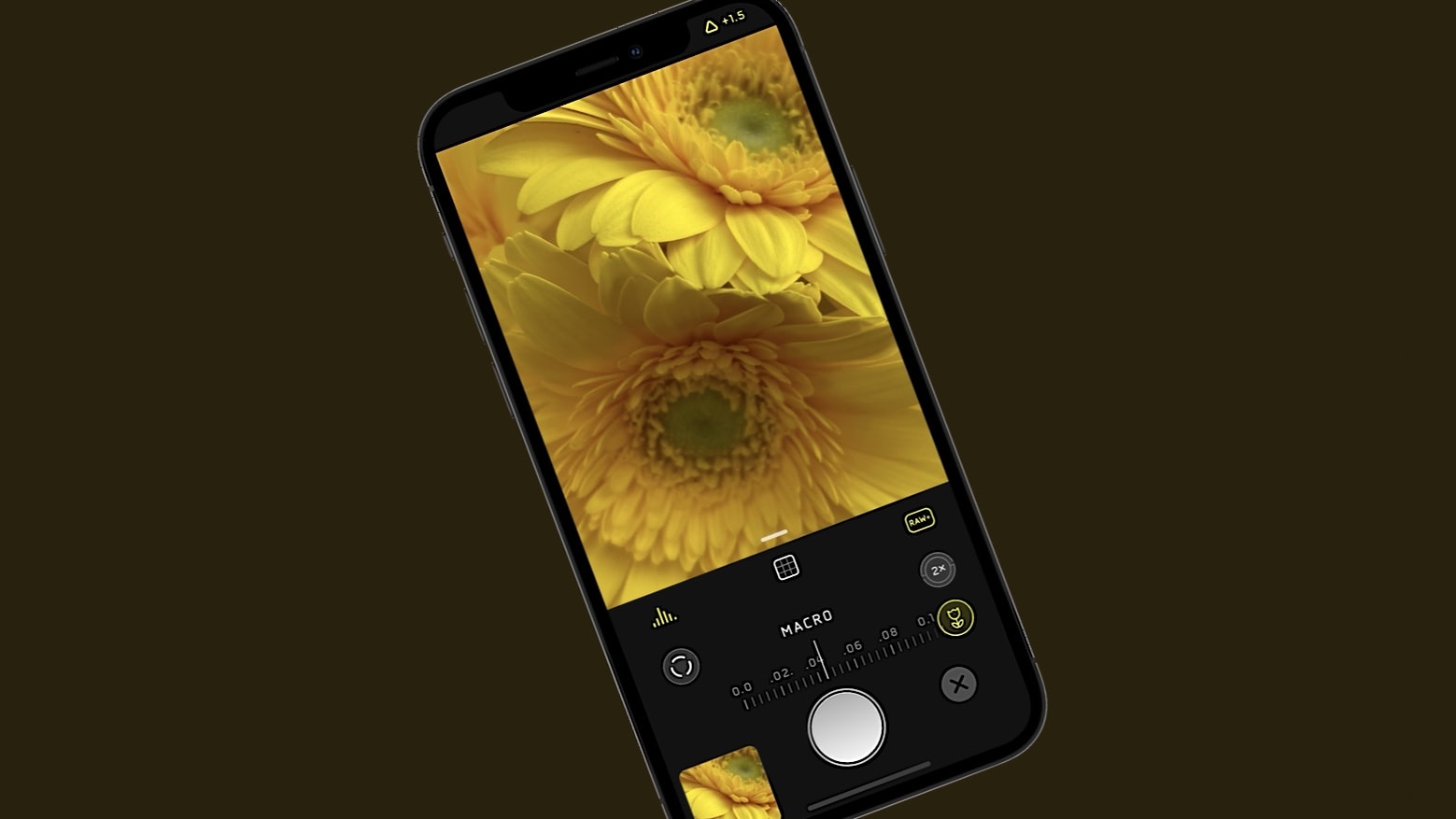 Halide 2.5 update improves images from iPhone 13 Pro macro camera