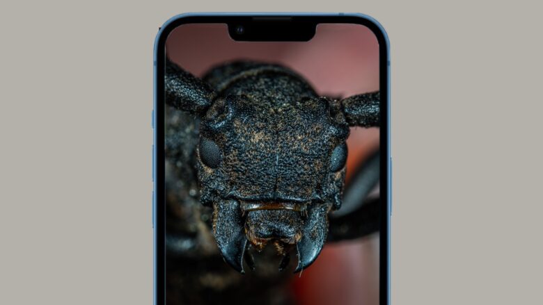 Updates is here for your iPhone bugs