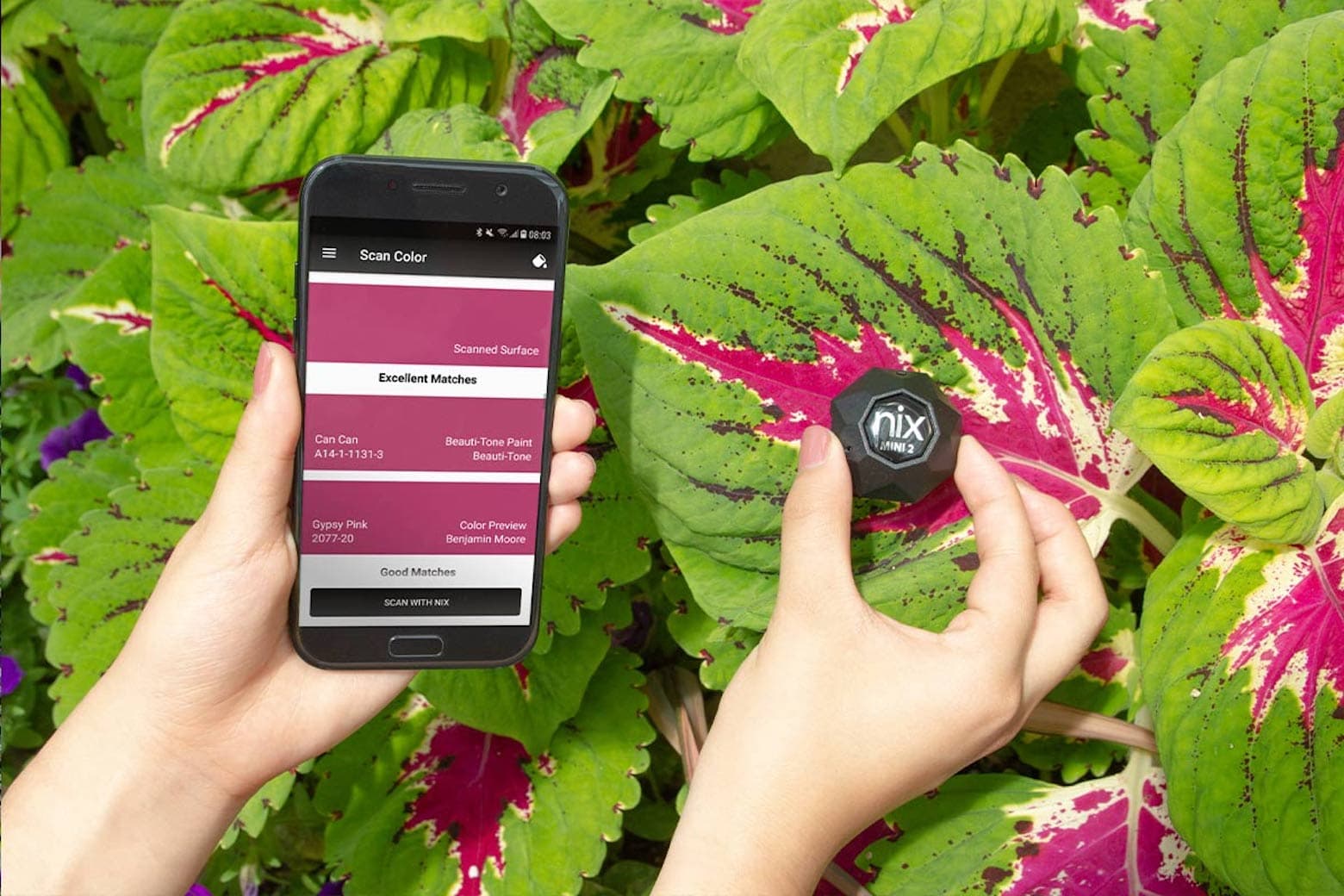 Find inspiration everywhere with this real-life color scanning tool.