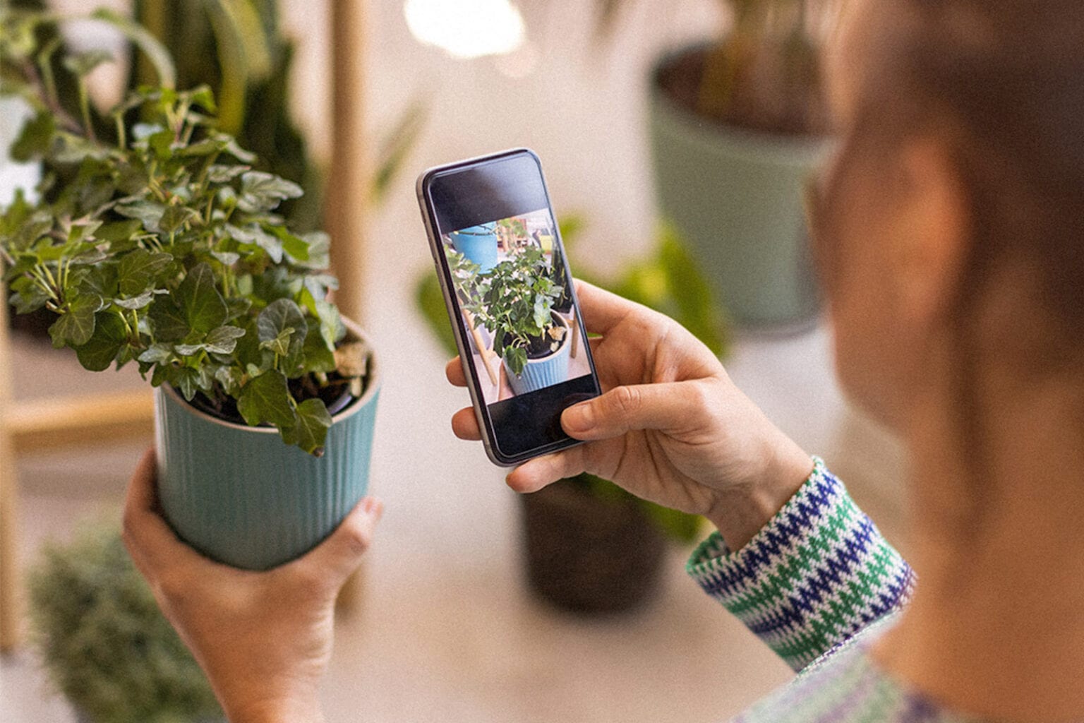 Let your gardening skills bloom with this plant ID app.