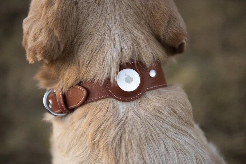 A personalized AirTag dog collar keeps track of your best friend Cult of Mac