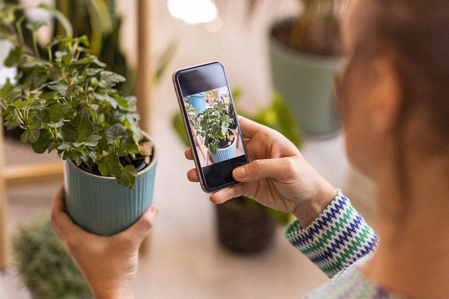 Home and garden deals for iPhone users will make your summer fun