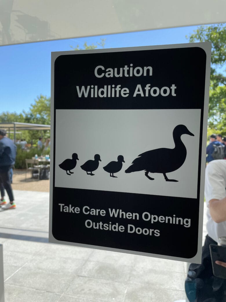 Ducks have moved into the pond in the Apple Park courtyard. They have been known to peck at the builgind's glass walls and doors. This sign warns you to take caution when opening a door so you don't accidentally smack a duckling. I did not see any ducks at the WWDC22 event.
