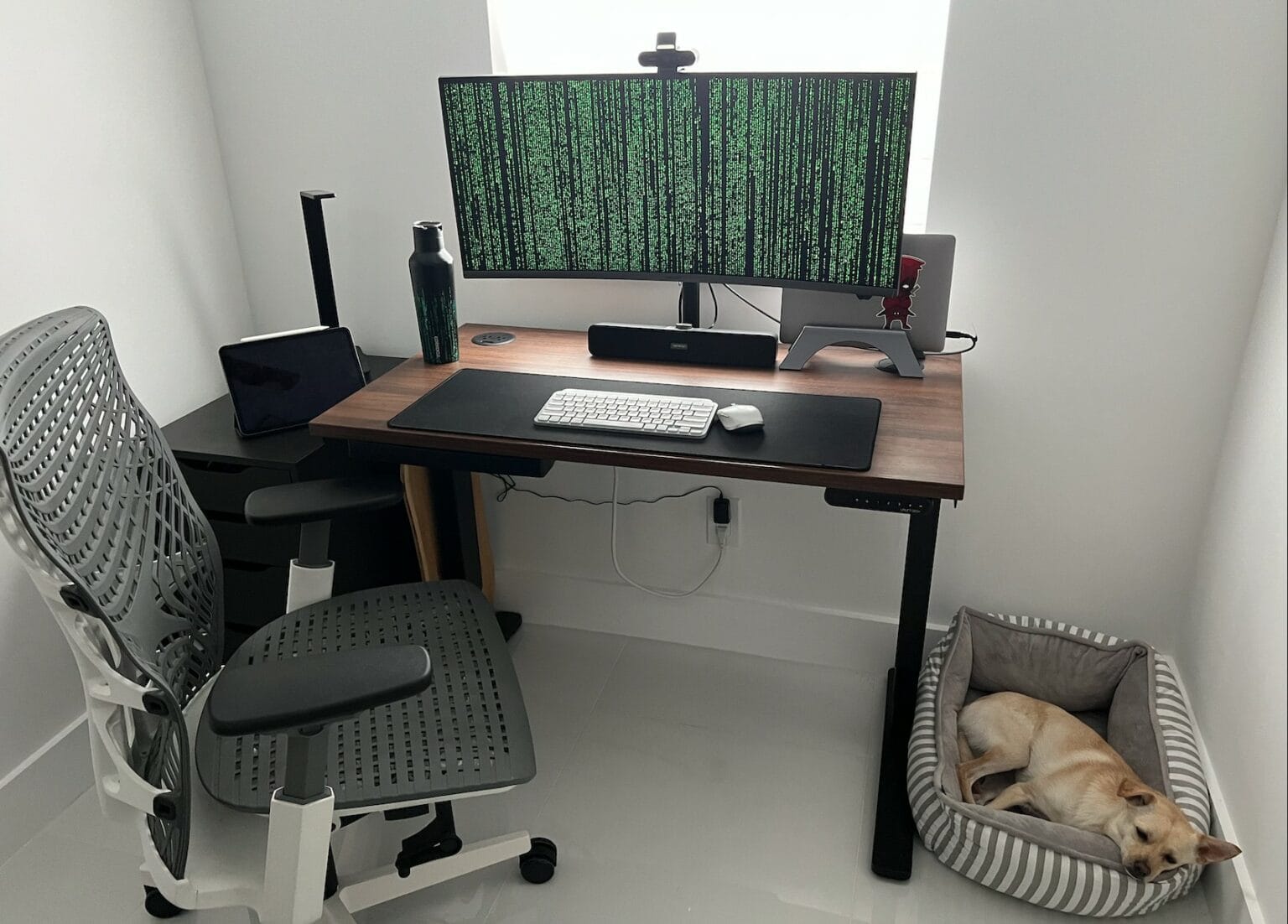 The M1 MacBook Pro and Samsung ultra-wide display form the setup's core, but the canine unit at right is a crucial feature, too.