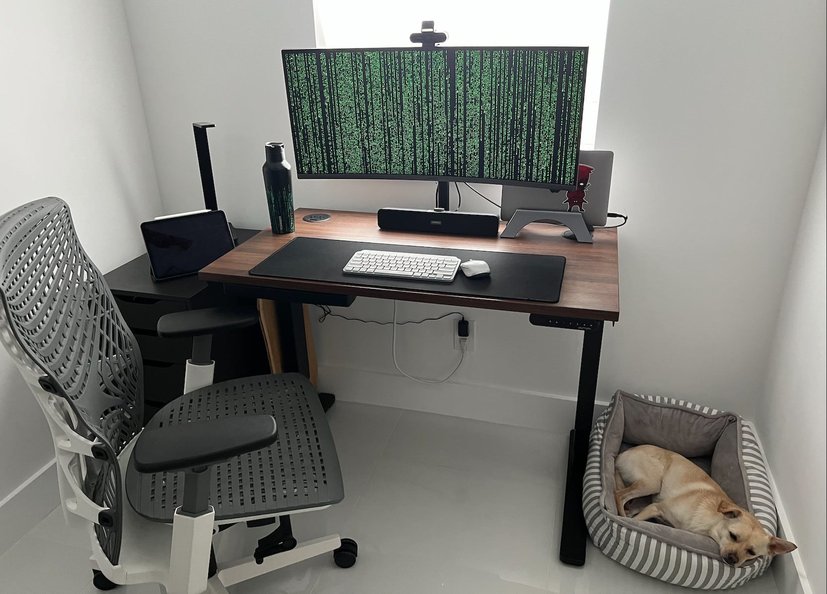 The M1 MacBook Pro and Samsung ultra-wide display form the setup's core, but the canine unit at right is a crucial feature, too.