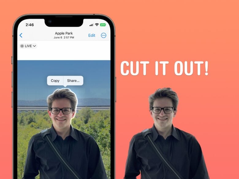 Using iOS 16's Visual Look Up feature, you can instantly copy the subject out of your pictures.