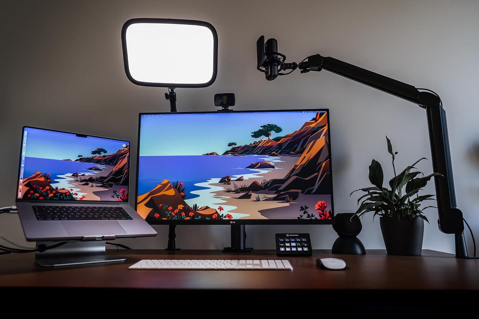 This is a well-lit setup for video calls.