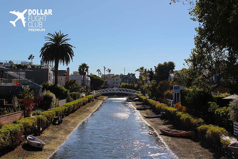 Airfares are skyrocketing - but this top-rated app will find you cheap flights for life.