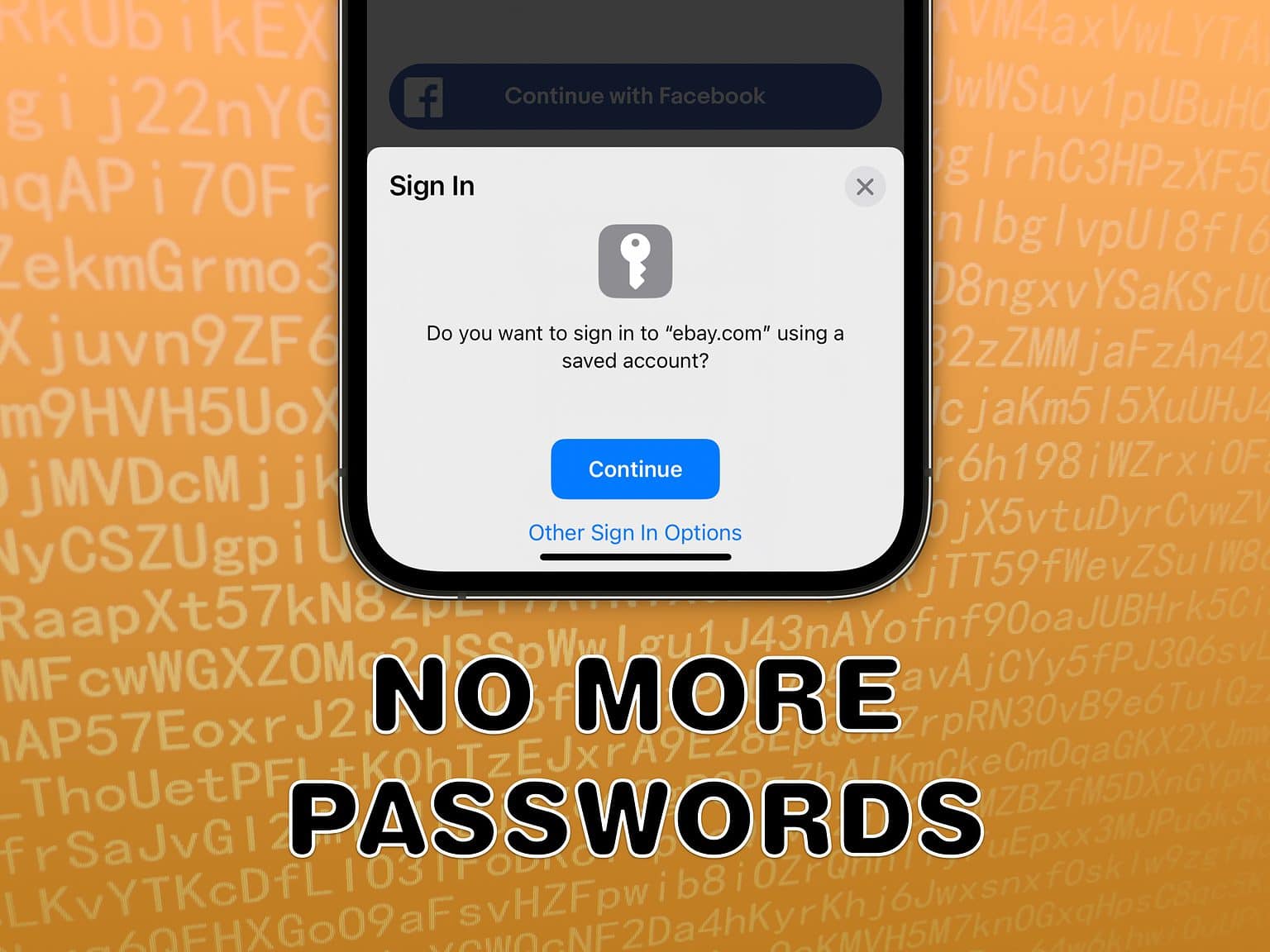 No More Passwords