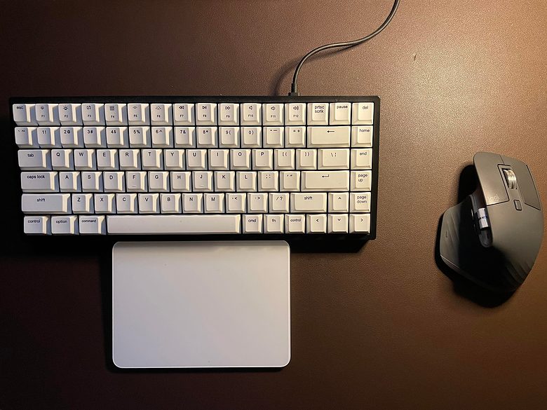 A Vissles mechanical keyboard, Magic Trackpad 2 and Logitech mouse provide input duties.