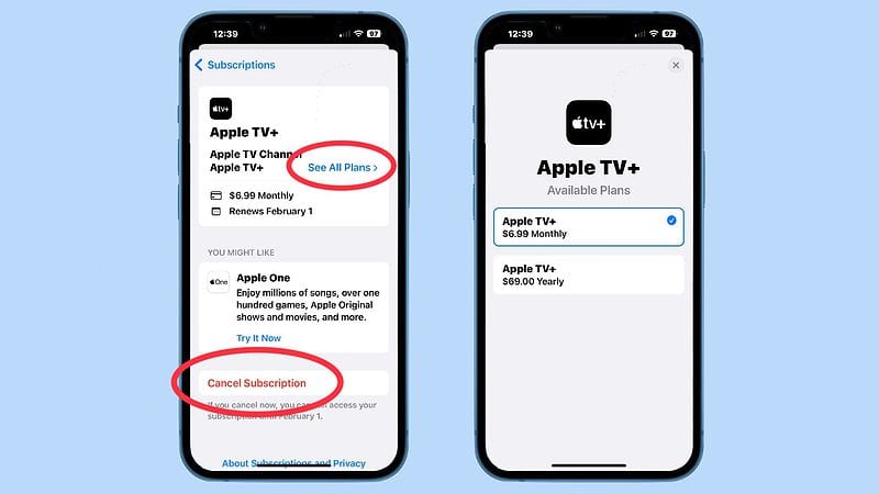 HOW TO REMOVE SUBSCRIPTION HISTORY FROM APPLE ID visual data 6