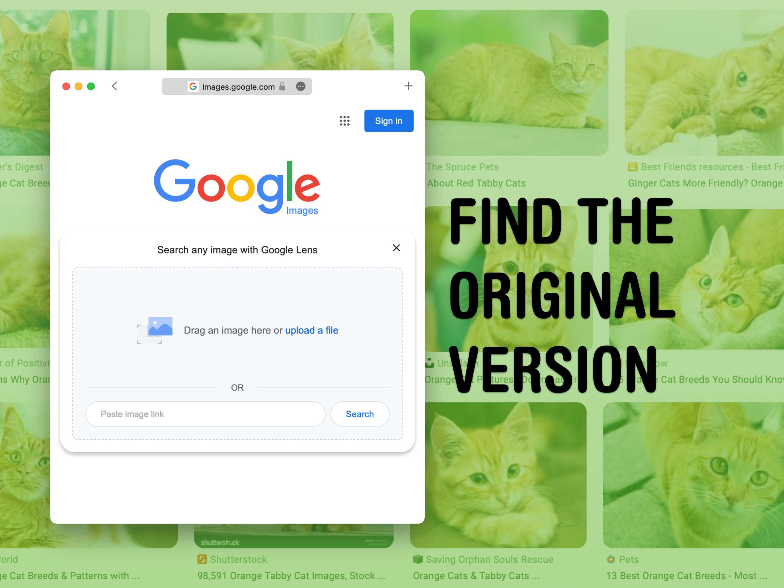 Find the higher quality original image online with Reverse Image Search