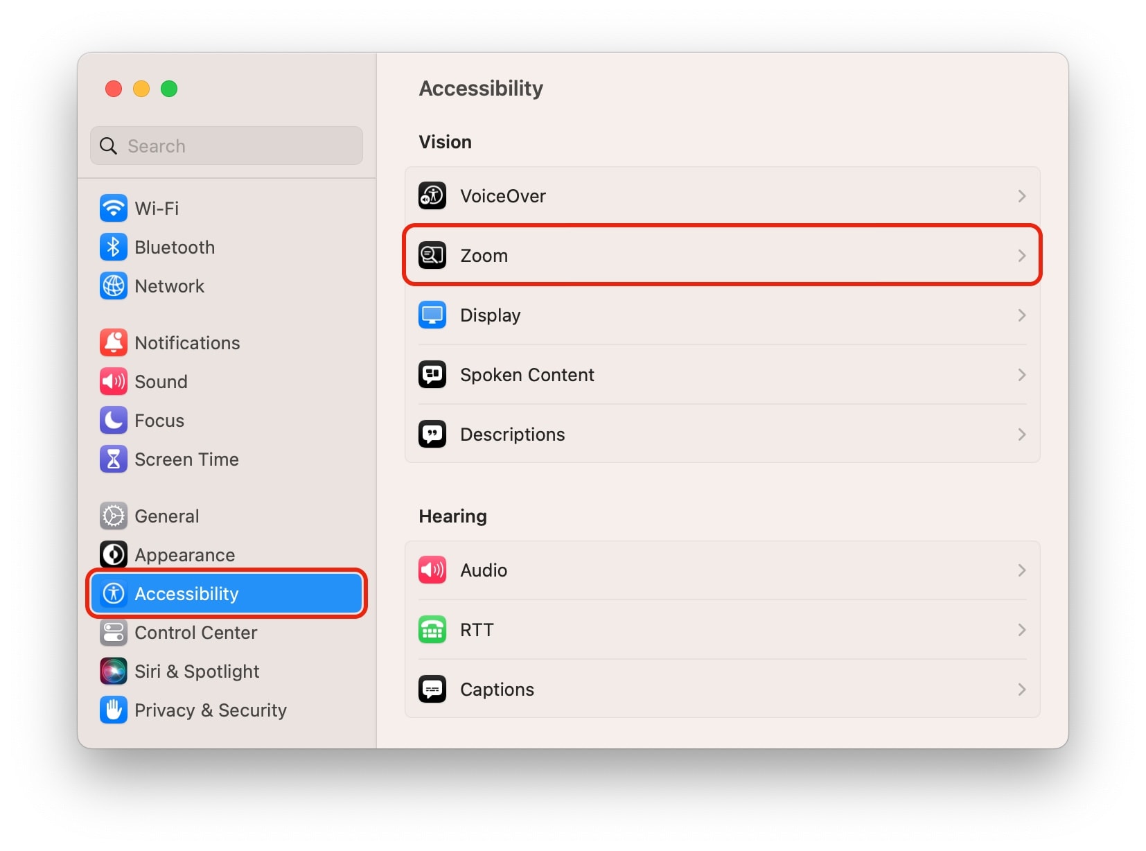 Display Zoom in Accessibility Settings