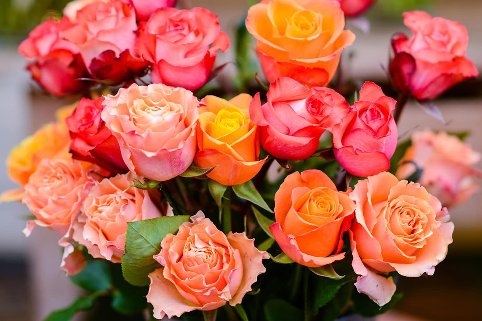 Want a foolproof Mother's Day? Ship 2 dozen roses for under $45.