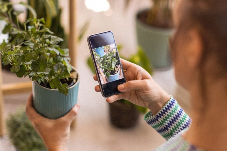 ID and treat more than 14,000 plant types with this $20 app.