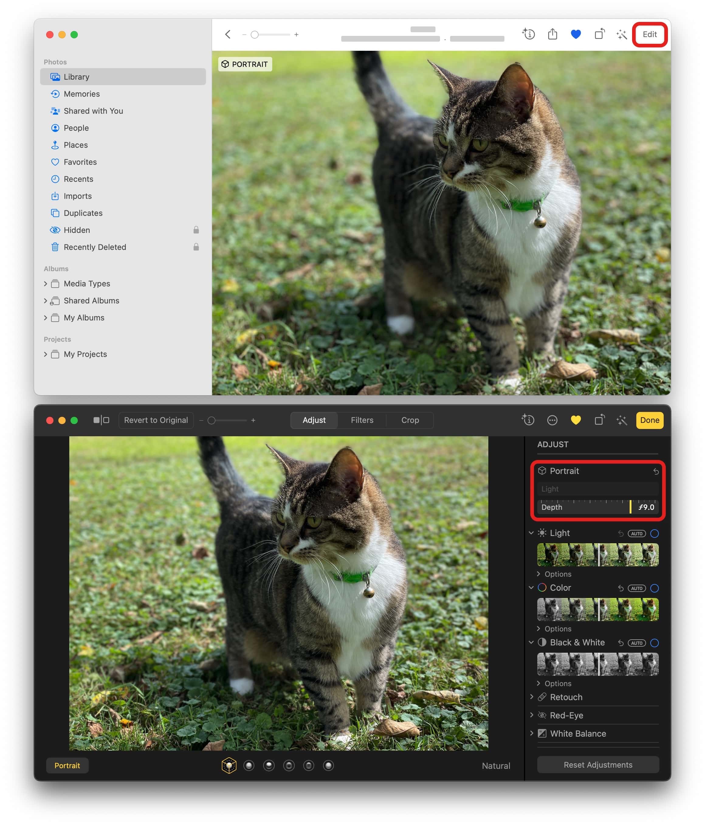 Editing Portrait mode effect on Mac