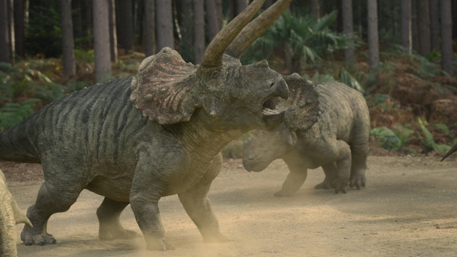 Triceratops in Prehistoric Planet season two