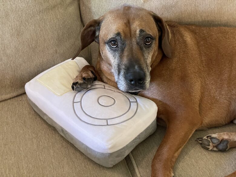 Brown dog laying on the Throwboy iPod pillow