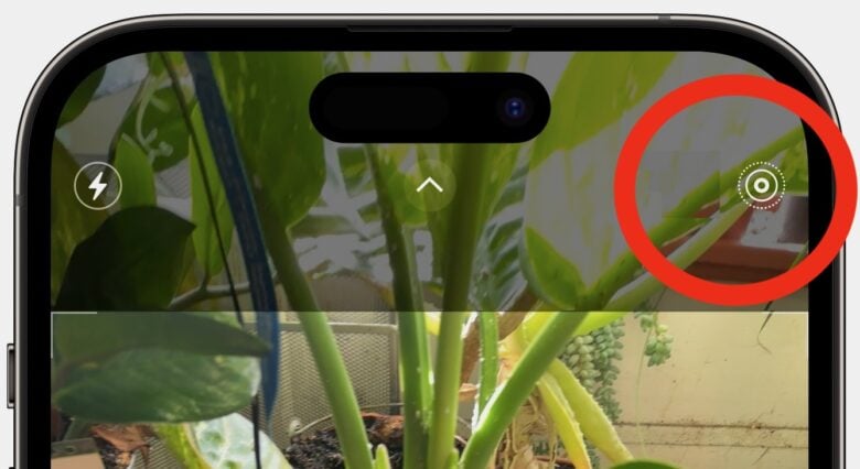 Screenshot showing how to turn Live Photos on or off