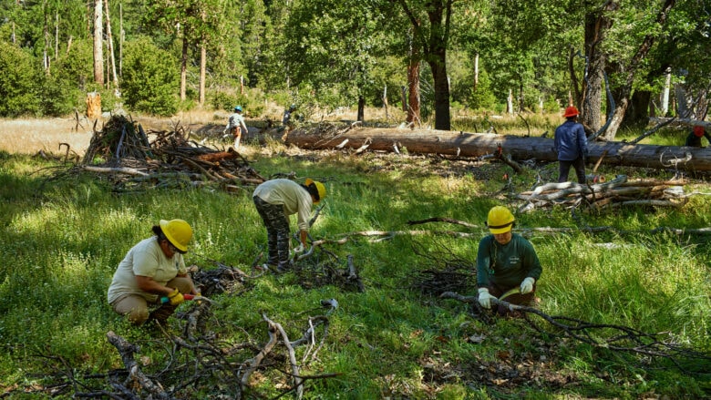 YAS and ALCC "partnered with Great Basin Institute to secure equipment for their fuels reduction work at El Capitan Meadow. The crew members are trained in technical skills such as chainsawing downed limbs and felling trees," Apple said.