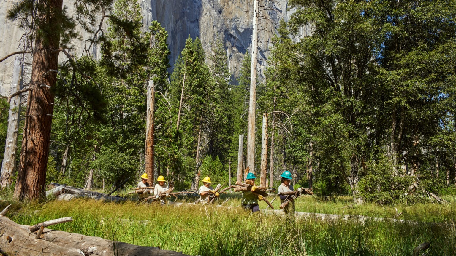 Young indigenous women work to preserve a scared black-oak grove at the base of El Capitan in Yosemite National Park.