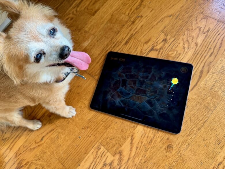 Jolly Pet dog game running on an iPad with dog looking on.