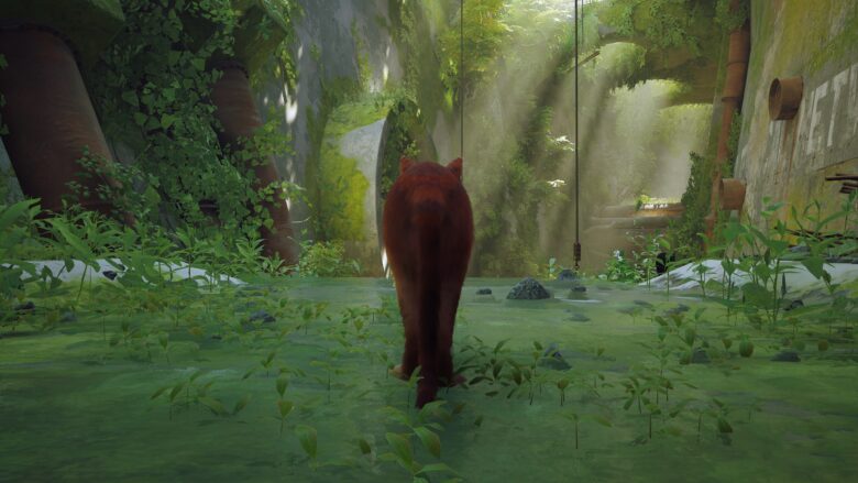 Screenshot of Stray, closeup of the cat from behind walking through a forest.