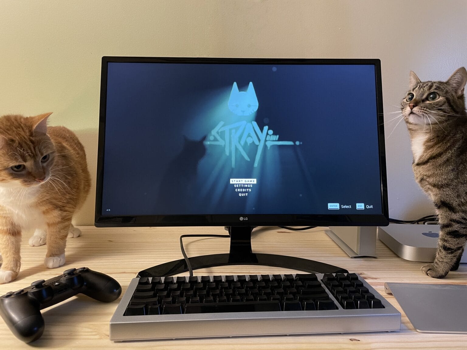 Photo of the Stray title screen on a Mac, with two cats sitting on the desk nearby