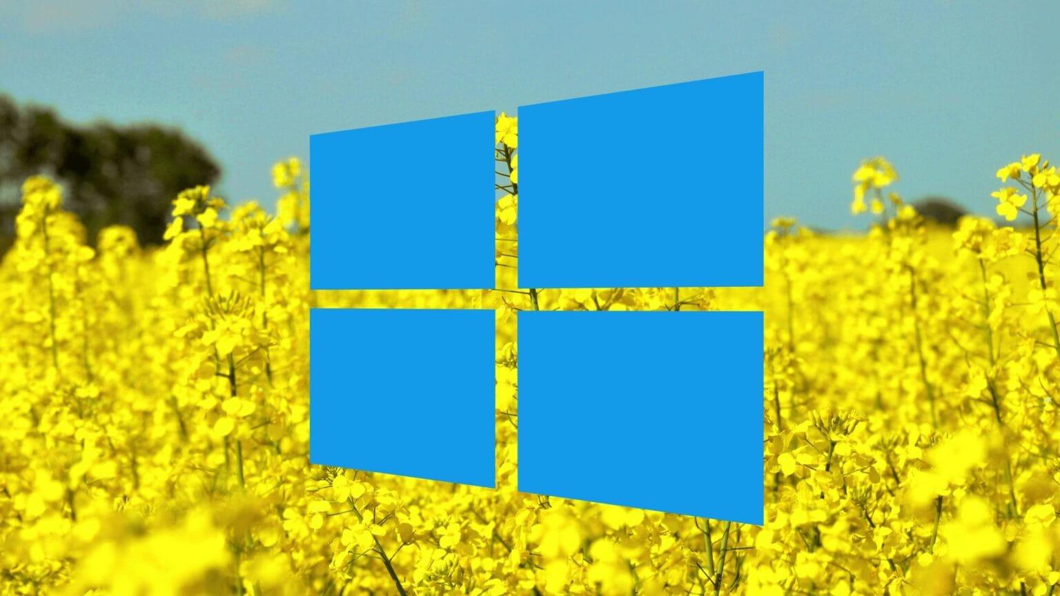 CdkeySales Spring Sale extended - Windows logo