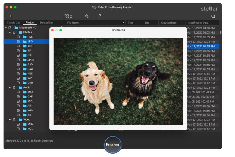 Stellar Photo Recovery showing a list of photos and an image of two very good dogs