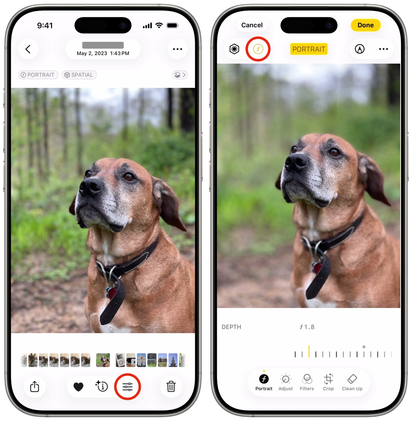Adjust Portrait Mode Blur iPhone Adjusting the Portrait mode blur on an iPhone