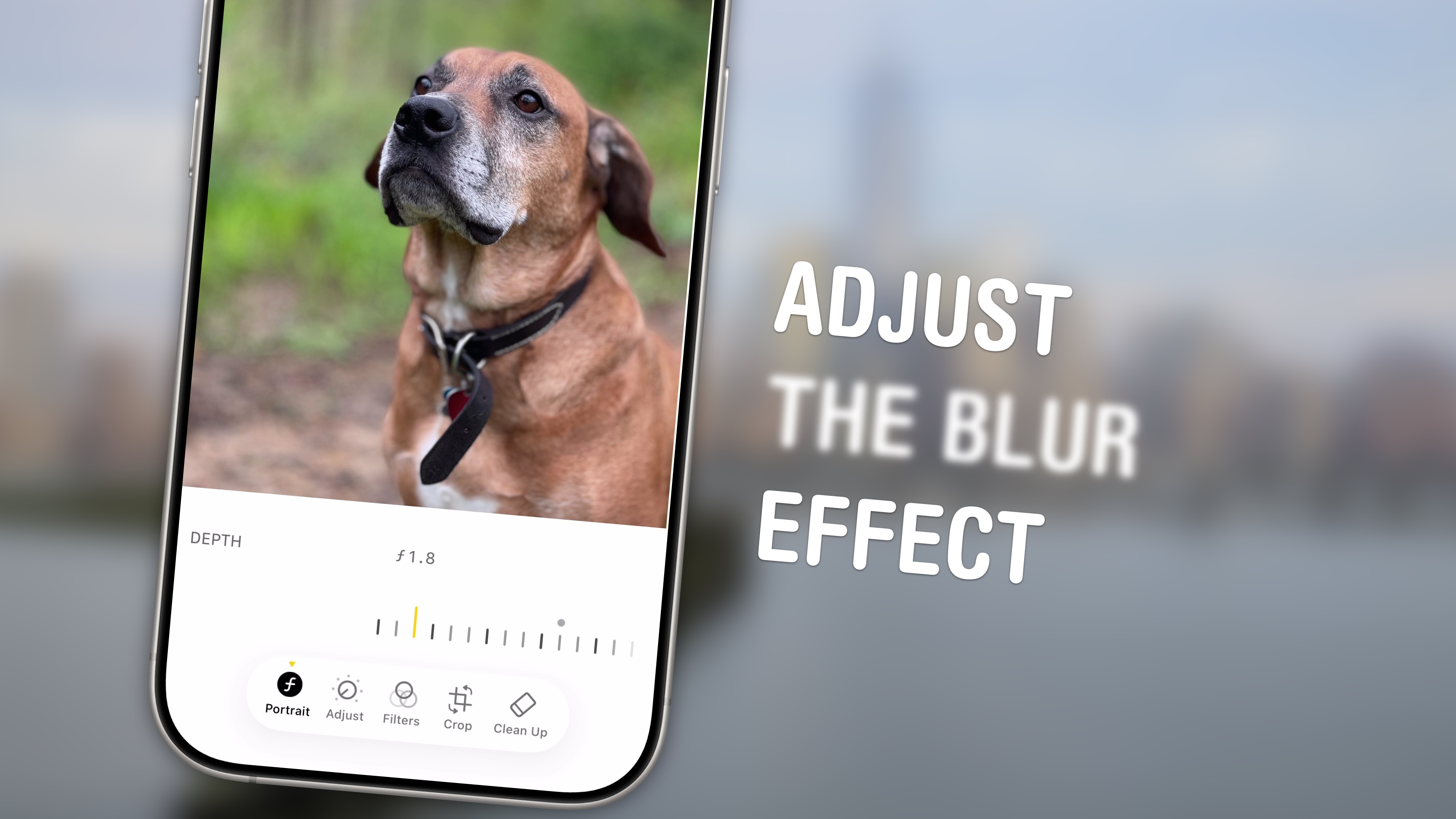 Adjust iPhone photo blur after you take the shot [Pro Tip]