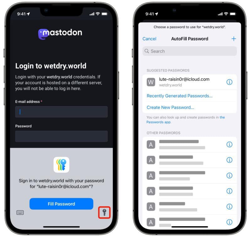 SIGN IN WITH APPLE PASSWORDS visual data 7