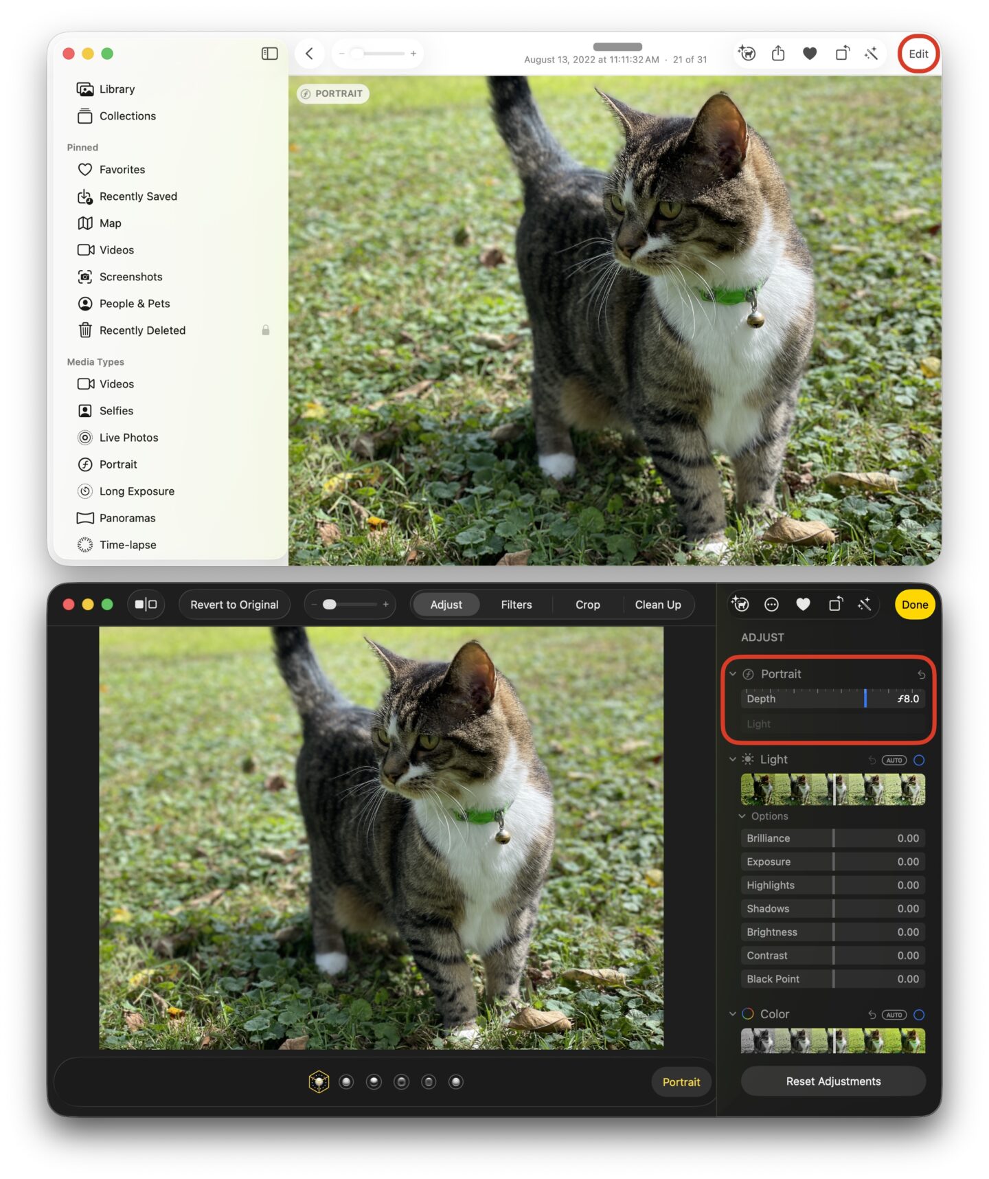 Portrait Mode Mac Adjusting Portrait mode on the Mac
