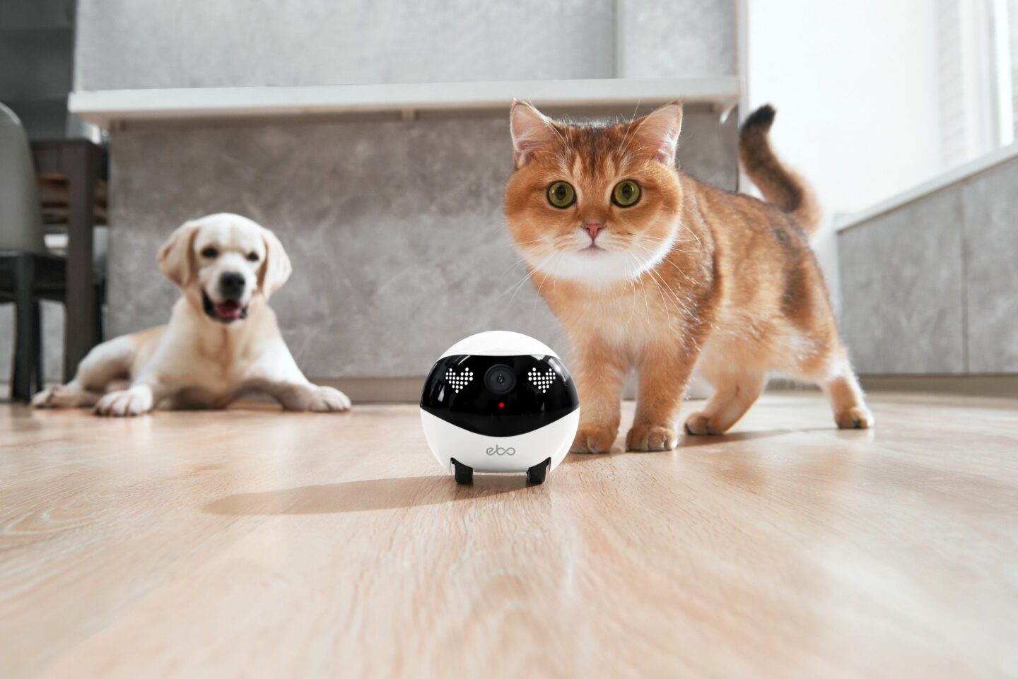 Enabot Ebo Air 2 Companion Robot