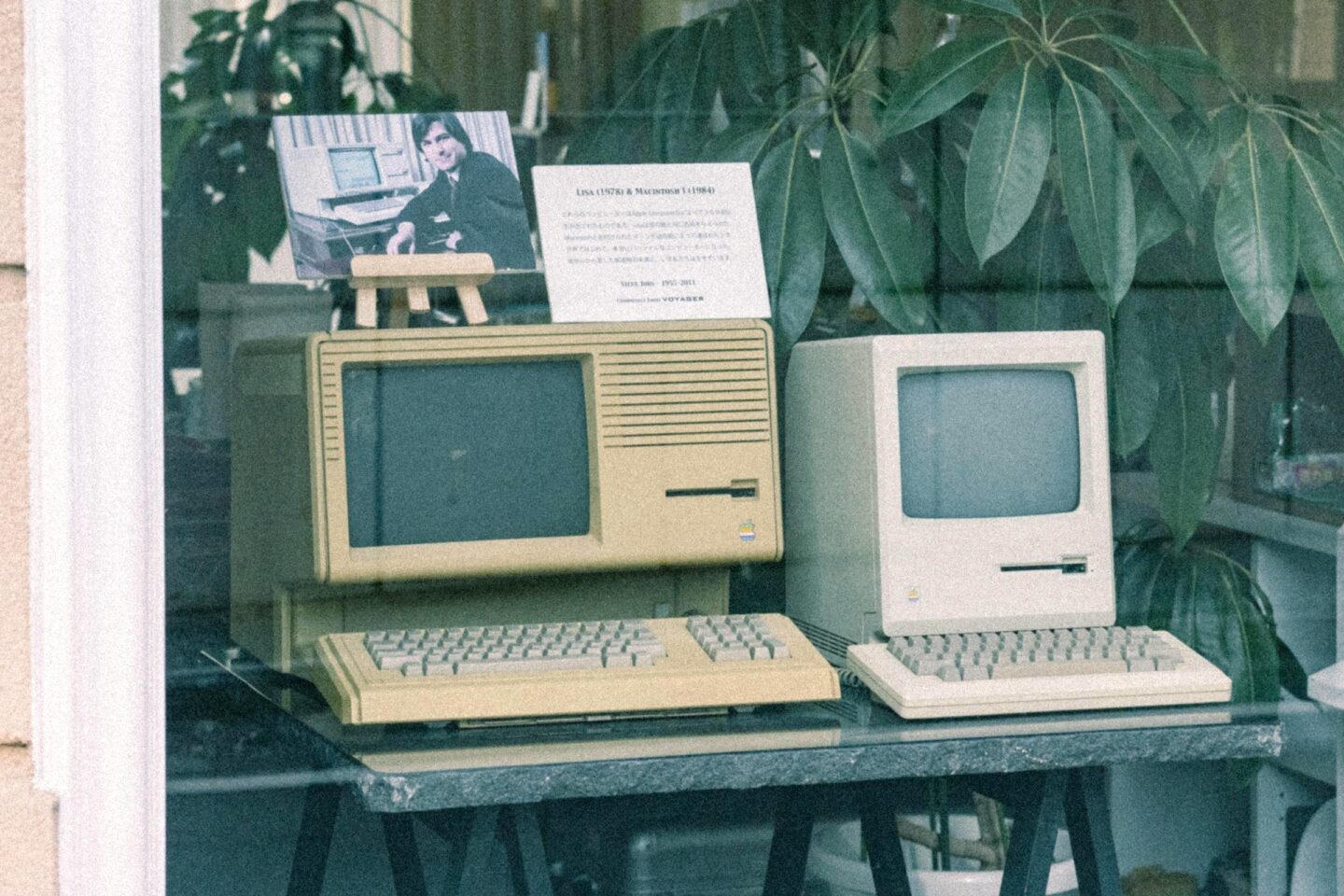Photo of Apple II and Mac computers sitting in a store window, with a photo of Steve Jobs