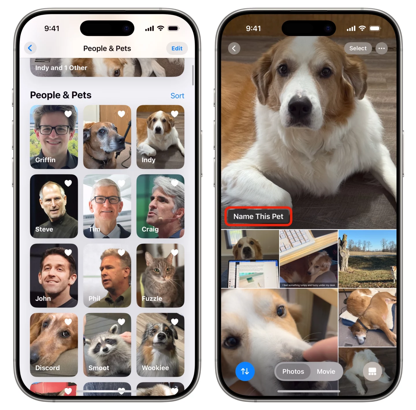 Name a Person Name a person in Photos