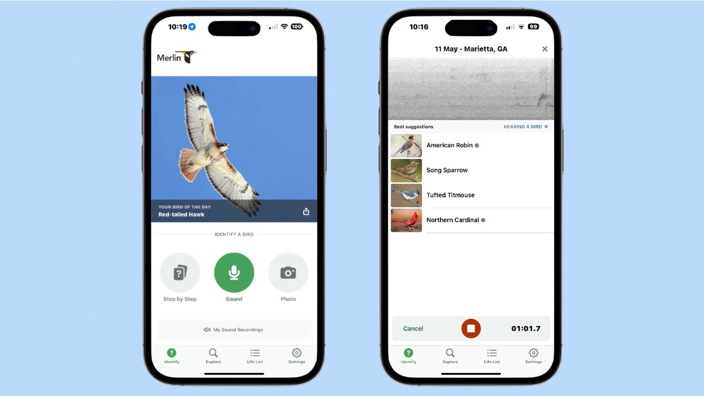 How to use Merlin Bird ID