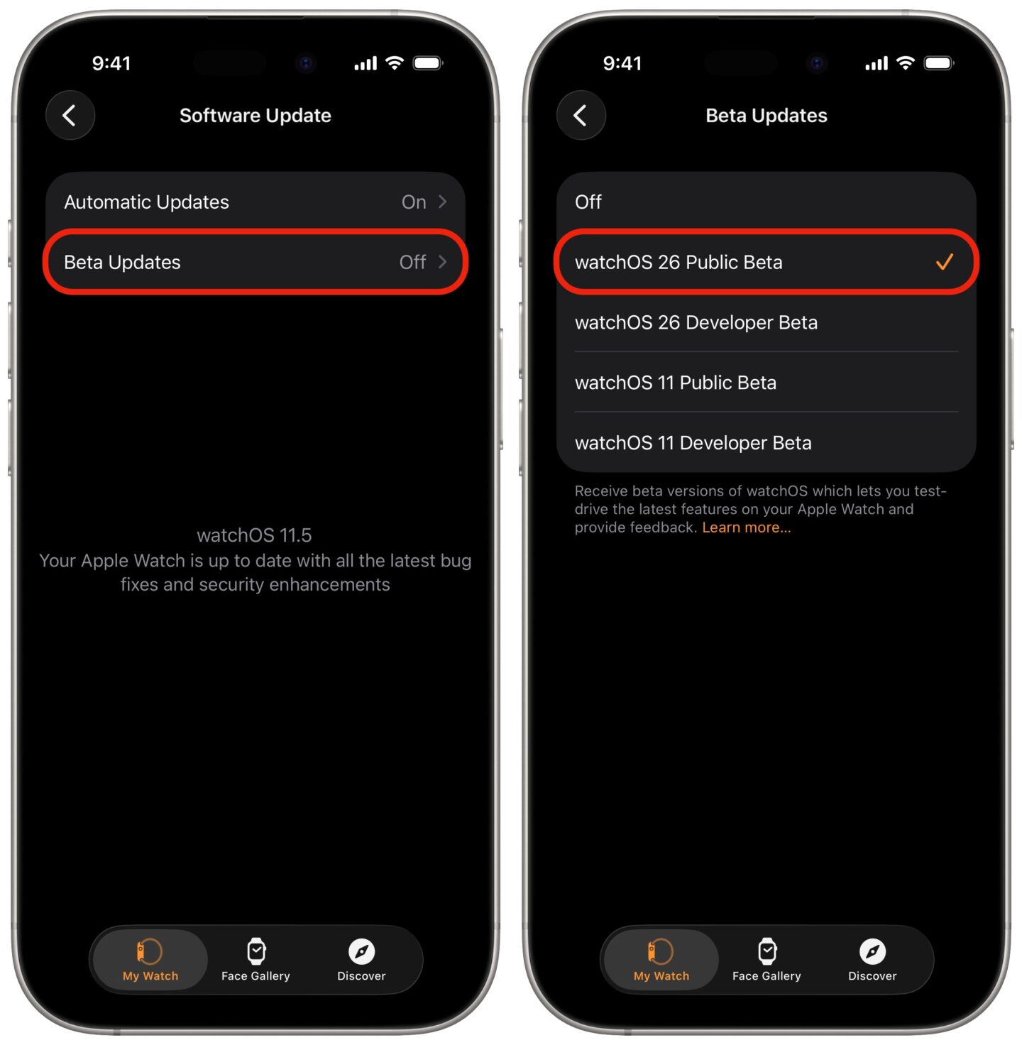 Downloading the watchOS public beta.