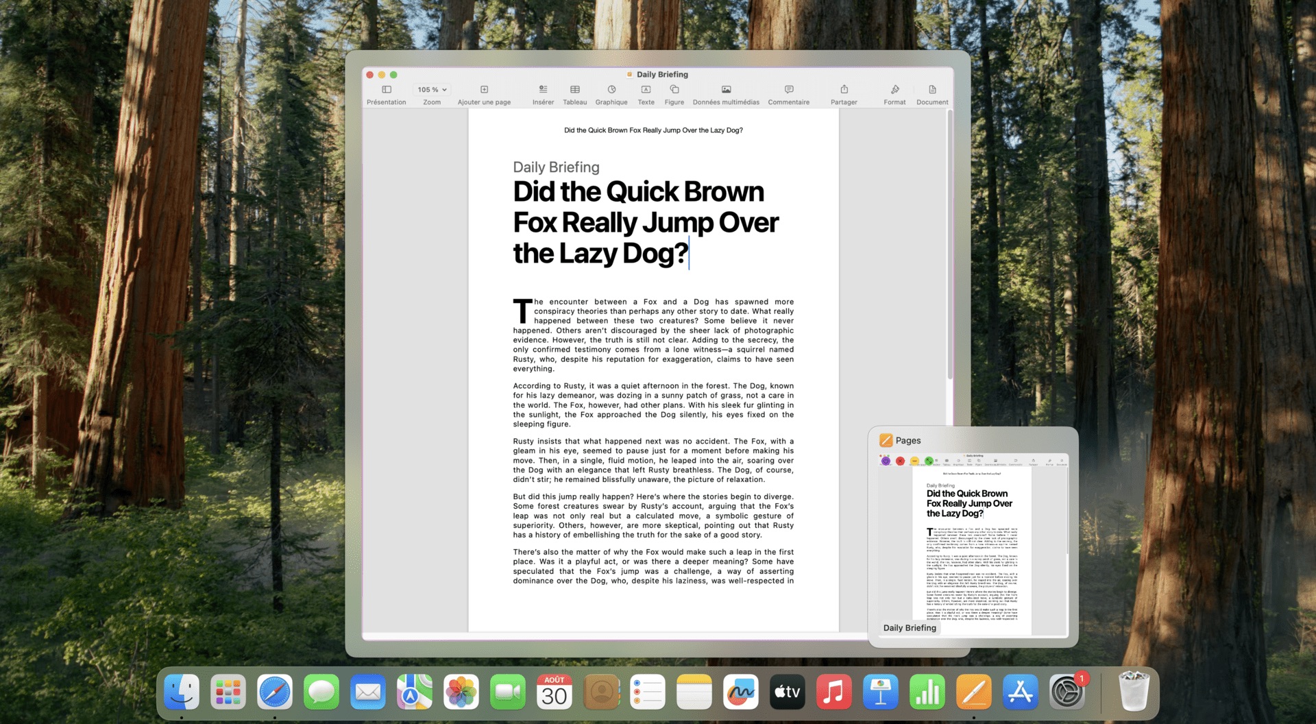 Screenshot of Dockdoor, a free Mac app that adds window previews to the macOS Dock
