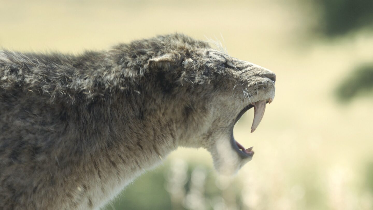 Prehistoric Planet: Ice Age Season 1: saber-toothed tiger