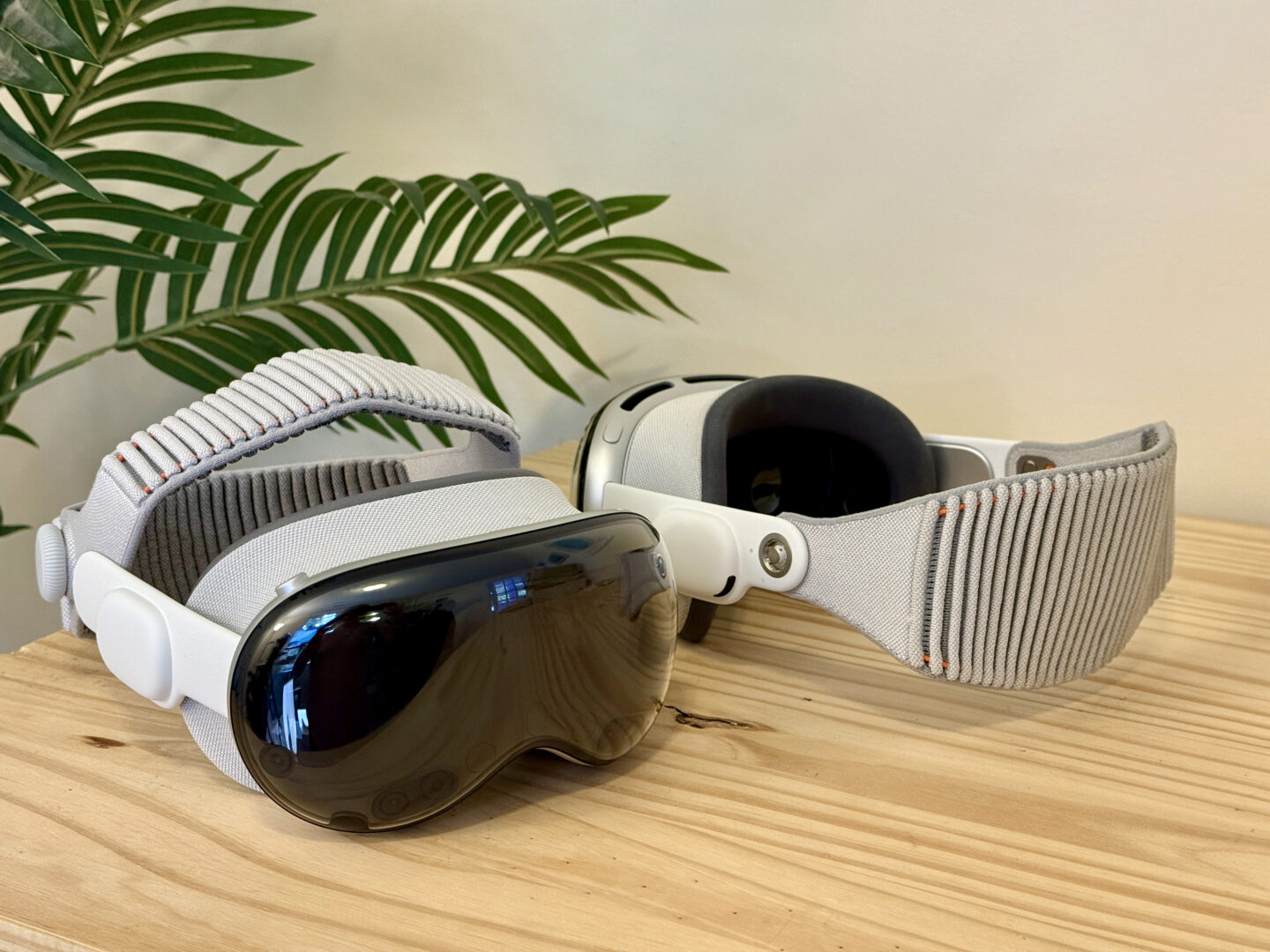 M5 M2 Vision Pro Tree M5 and M2 Vision Pro sitting side by side, one of them turned around, in front of a fake palm tree.