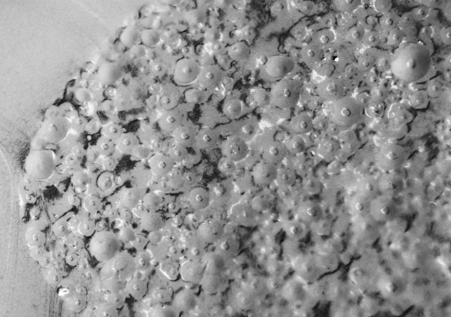 AirPods Pro 3 ear tip foam